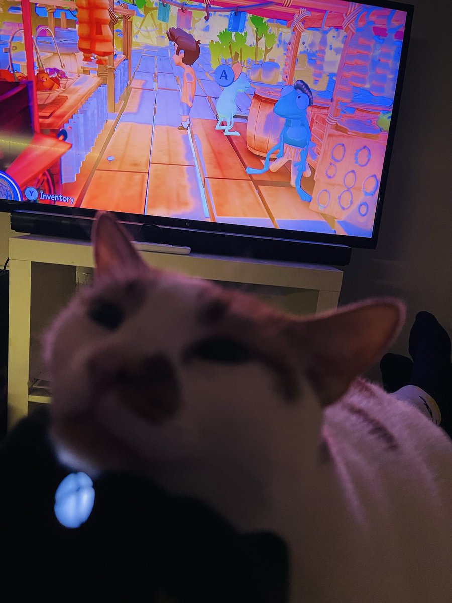 Andreas ➡️ Halo Fest tweet media