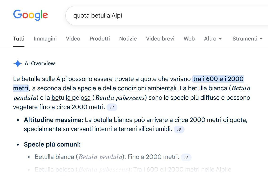 Beppeley's tweet image. Sono specie pioniere. Sono #betulle. Qui a circa 2200 - 2300 metri (!) sul versante a solatio della Val Grande di Lanzo.

Noi da qui non ce ne andiamo. Abbiamo trovato un habitat ideale e prepariamo il terreno per altre specie.

Cambiamenti sulle #Alpi.
#VallidiLanzo #AlpiGraie