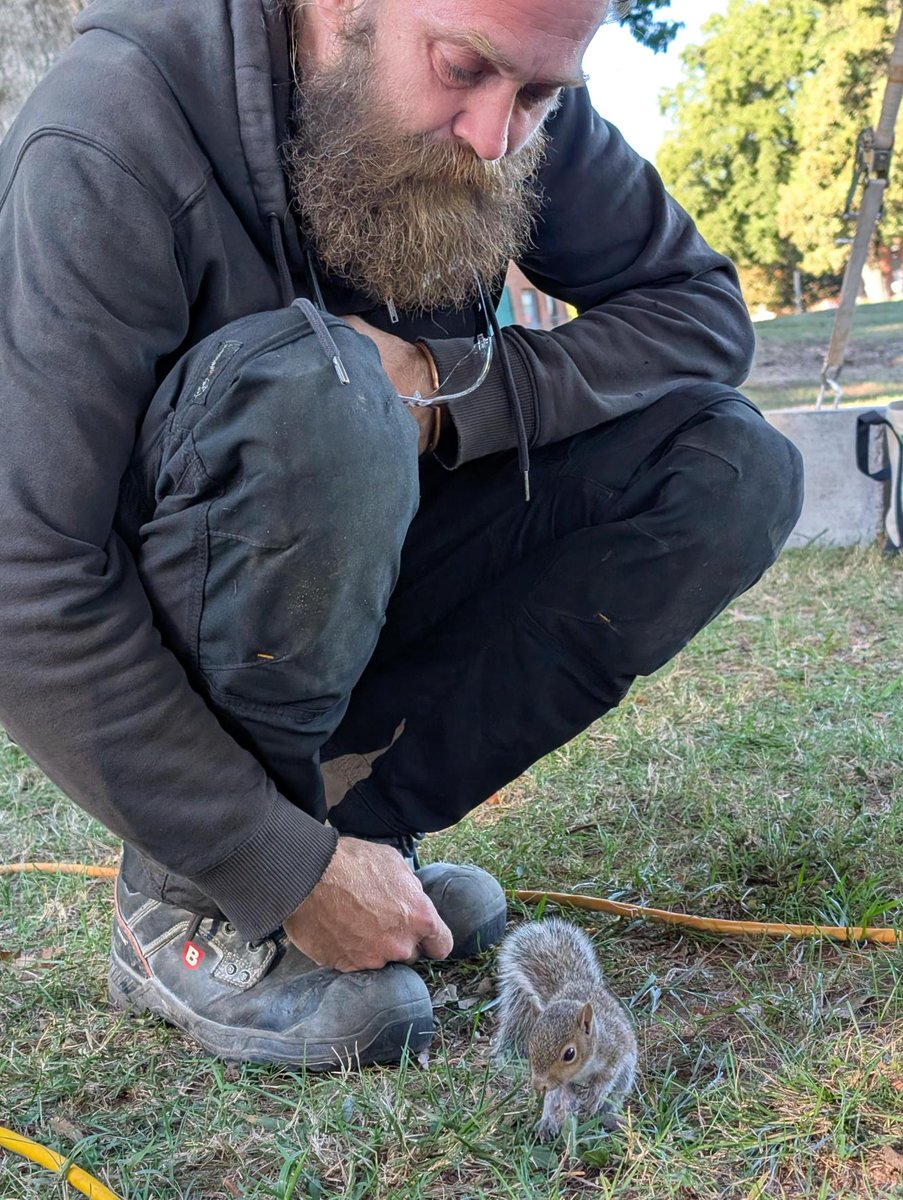 Dix Park Conservancy tweet media