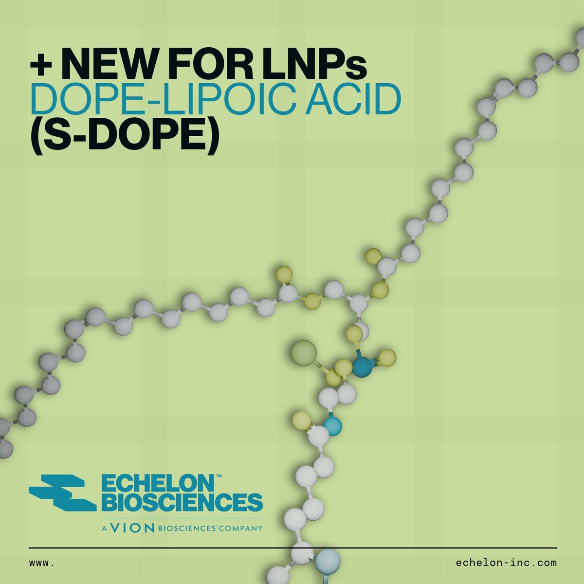 💡 A new way to boost LNP formulations has arrived: meet S-DOPE.

Echelon is excited to offer a new helper lipid that can significantly improve lipid nanoparticle (LNP) formulations for mRNA delivery.

👉 echelon-inc.com/product/dope-l…

#LipidNanoparticles #mRNA #DrugDelivery