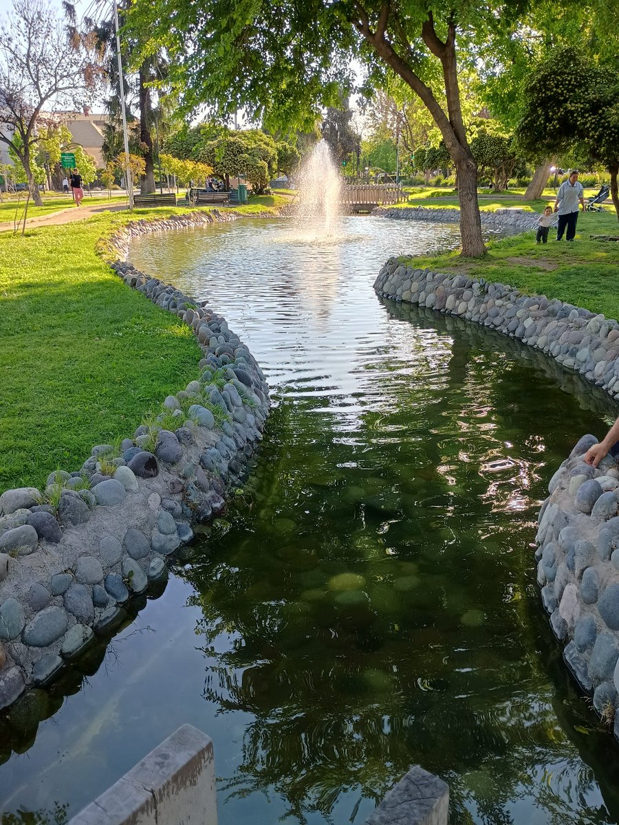 diego_castro_a's tweet image. Este tipo de fuentes de @Muni_provi es cara de mantener y no cumple ninguna función más que verse bien. Yo haría una de las siguientes cosas: habilitarla para que se bañen los niños, o naturalizarla con plantas acuáticas.