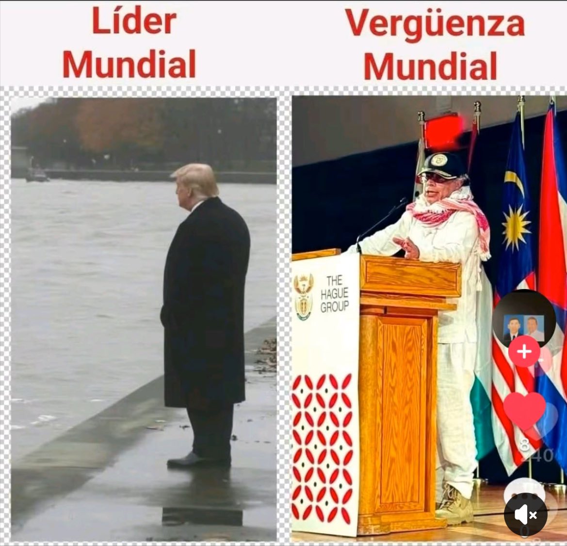 Para un buen entendedor pocas palabras…👇