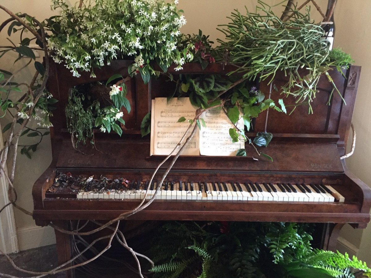 poeticalphotos's tweet image. 