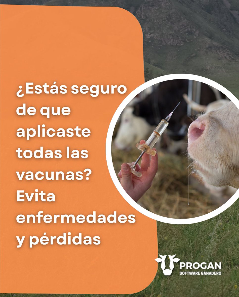 ProganSoftware's tweet image. Epidemias por olvido, ¿te suena? 🐂❌
Garantiza la cobertura total de vacunas y la trazabilidad con tecnología.
PROGAN Software te notifica, registra y protege tu inversión. ¡Cero errores en el manejo sanitario!
progansoftware.com
#SoftwareGanadero #SaludAnimal #PROGAN