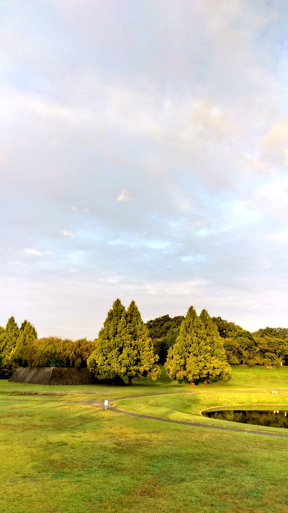 #今空
#イマソラ
#大宮公園