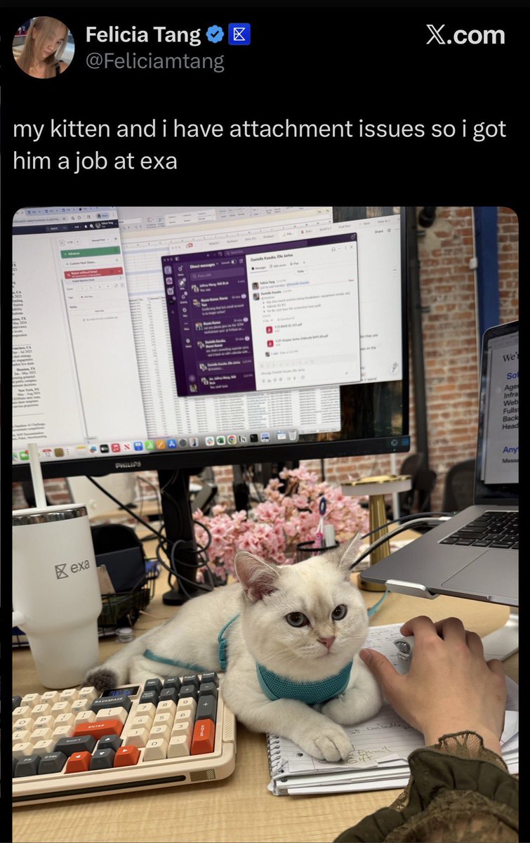 kylecompute's tweet image. There's no way they thought that this was going to end well. Half of TPOT is unemployed she's like the enemy to unite all nations