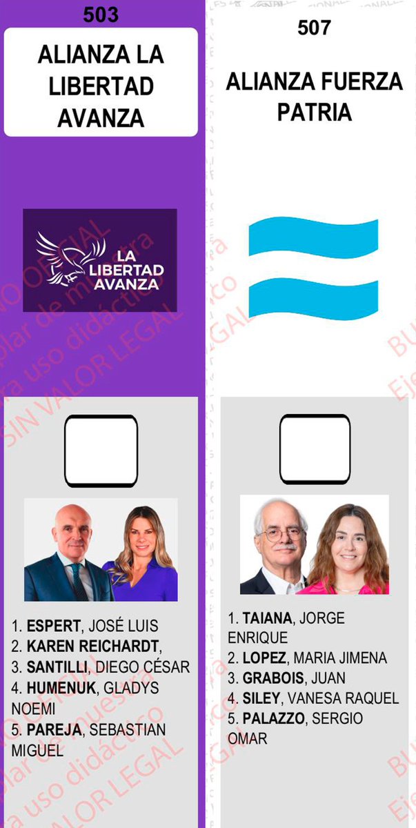 Después de que el oficialismo pidió reimprimir la Boleta Única de Papel, la Cámara Nacional Electoral rechazo definitivamente su reimpresión y se mantendrá la foto de José Luis Espert.

La doble vara es una línea de conducta en este Gobierno: había 15 mil millones de pesos