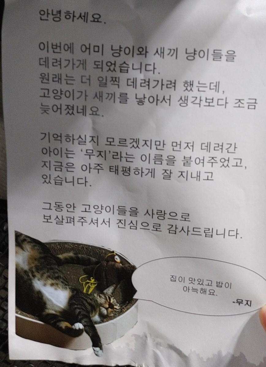 cat_chunsam's tweet photo. 올 겨울 근심은 덜었다. 마지막 인사를 못 해서 아쉽지만 내 아쉬움, 그까짓게 뭐 대수겠어! 먼저 간 오빠냥이랑 잘 만났겠지. 이제 사랑받는 집냥이로 잘 살아라. https://t.co/o4Pjt0cxoc