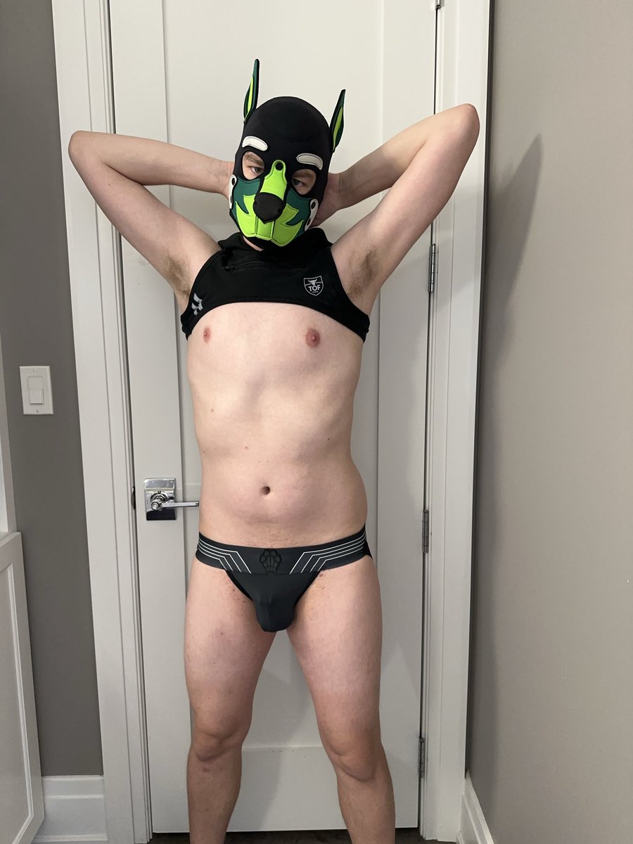 Hey puppy how about you come sniff something