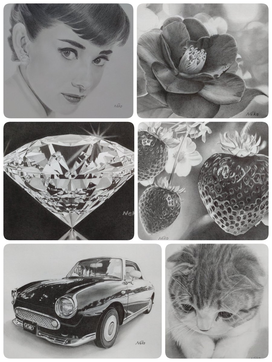 neko (=^・ｪ・^=)🐾🐾 (@6MK5utpa1hgVKGt) / Posts / X