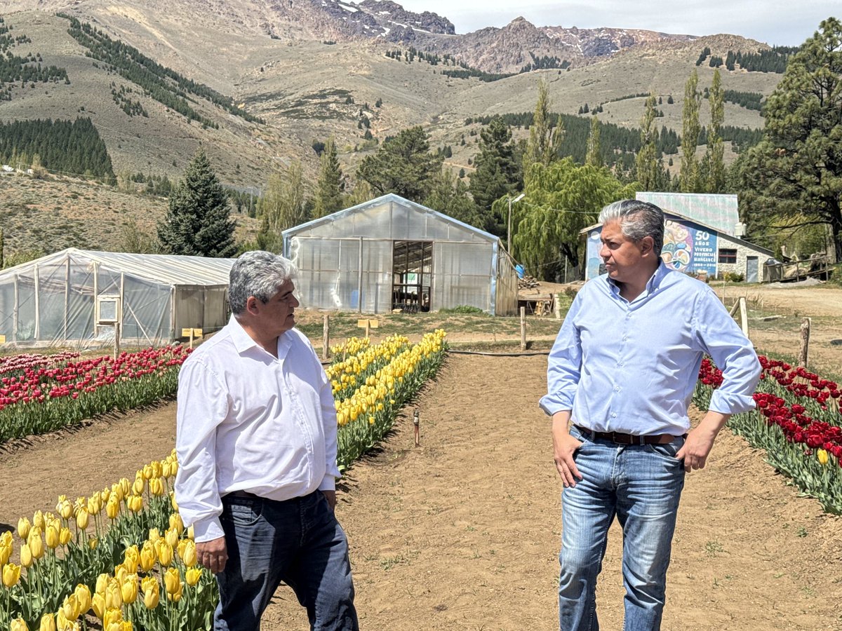 Rolo Figueroa tweet media