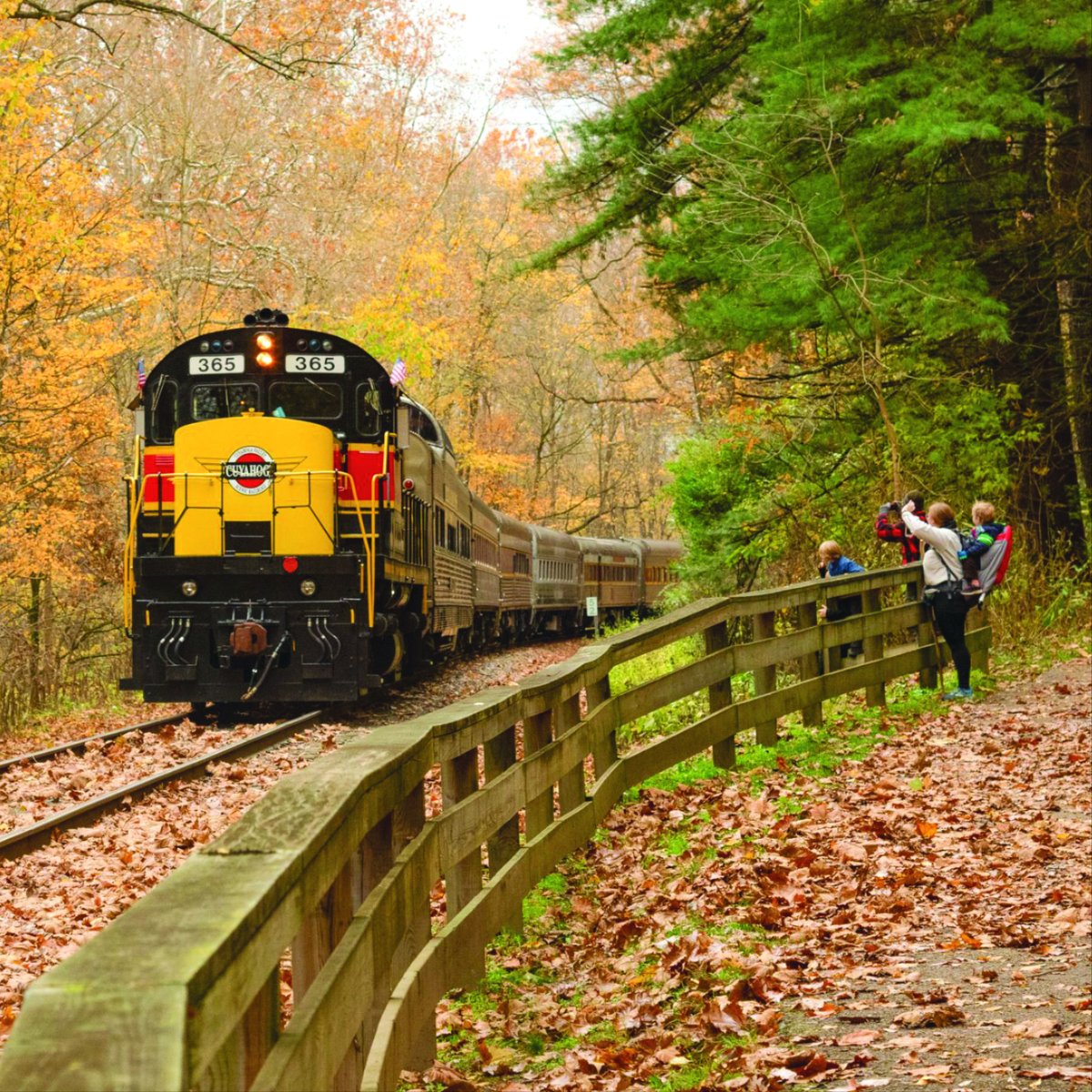 🍂🌳 The Cuyahoga Valley National Park transforms into a playground of colors during the fall! 🍁✨ Discover Ohio's only national park with serene parks and the scenic towpath trail. Grab your hiking boots and immerse yourself in nature's beauty! 🥾💚