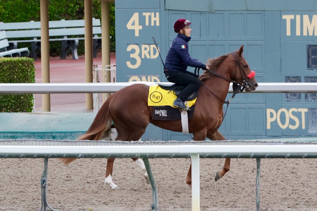 🚀 <a href="/Antonio1Fresu/">Antonio Fresu</a>