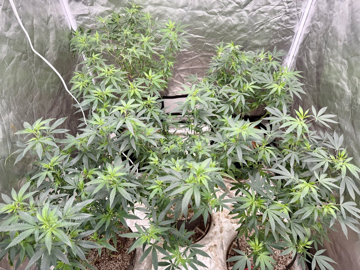 Smeyer40 tweet media