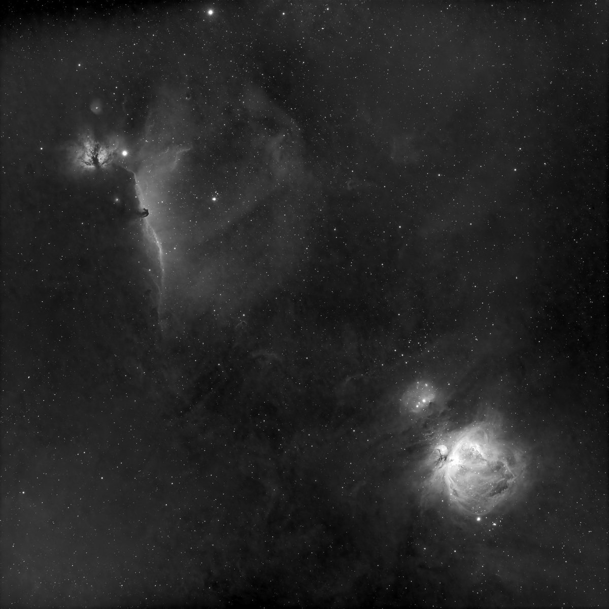 First stack of Ha on M42 and the Horsehead taken Saturday night - 135mm with the ASI 533mm. Got to starting shoot with my scopes Esprit 80 &amp; 120mm (M1) I’m looking towards soon ! But, loving the Samyang. #astrophotography
