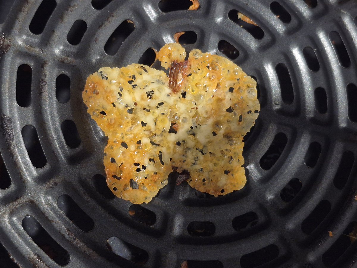 You guys 🙏 look what the universe of the upside down gave me 🦋