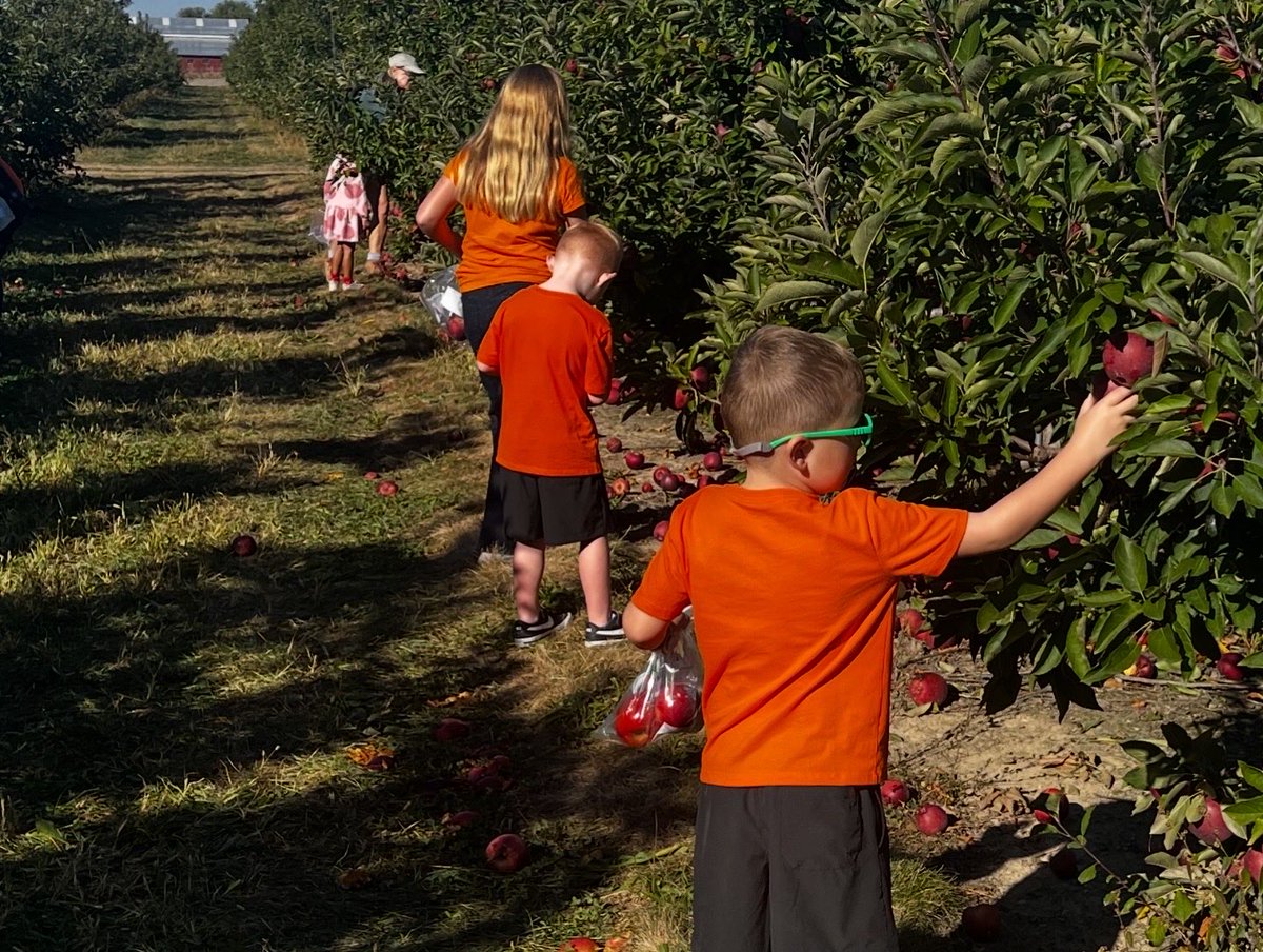 CampAdventure23's tweet photo. The Forest Academy took our first field trip to Tuttle Orchard! 🍎🎃 Students learned about apples &amp; pumpkins, picked their own, and explored the farmyard—hands-on Montessori learning in nature! 🌿 #ForestAcademy https://t.co/p8snSldMxT