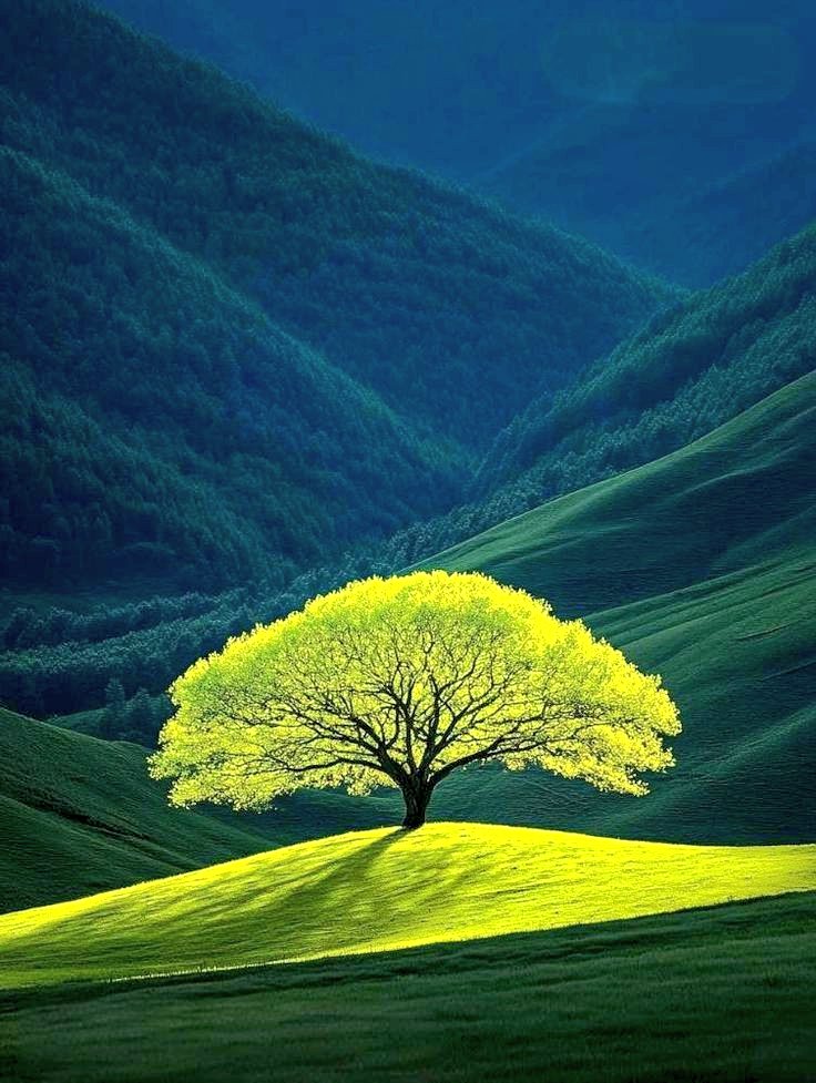 تابع👇
<a href="/dqlyfy1sa/">👑ناري اليافي ✨ 🍂 💯fb</a>
<a href="/qasm_y4/">👑صادق 👑</a>
<a href="/UCxmn/">𝒂𝒄𝒕𝒊𝒗𝒆 🇺🇸</a>
<a href="/hmep63/">حمدي محمد</a>
<a href="/n3990r/">noor</a>
<a href="/ISKno1/">𝕴𝖘𝖍𝖆𝖖 𝖐𝖍𝖆𝖓</a>
<a href="/qrlyfyd/">صقر اليافعي</a>
<a href="/7M__f/">مروءة امرأة</a>
<a href="/12ZZZ22/">دختور🔥🔥</a>
<a href="/lynna1x/">LynnaRTGAINS 💞 100K #ActiveGains #MGWV</a>
<a href="/Al___wtny/">🔥♻️🔥</a>
<a href="/asadgour/">LIVE FOR OTHERS</a>
<a href="/mer1MON/">☂️☔☔🎁🎁2026👑👑☔☔☂️</a>
<a href="/alicejofrey0/">Alice Jofrey</a>
<a href="/dodo_star7/">Dodo 😉🤞</a>
<a href="/HnanA87175/">حنان القحطاني🇸🇦</a>
<a href="/turkmeno16/">Oğuz Türkmen</a>
<a href="/RTyby41933/">عاشق الهلال 🇸🇦🇸🇦🇸🇦🌷♥️</a>
<a href="/Sadan2030z/">Sadan</a>
<a href="/Tammer3033/">ABo TAMER</a>
<a href="/KironYsadora/">Ysadora Kiron</a>
<a href="/MylafA16993/">Milavi</a>
<a href="/man63291762/">منصور العبدالله</a>
<a href="/TarekMo20862/">Tarek Mo</a>
＠nyagoroyorosik1