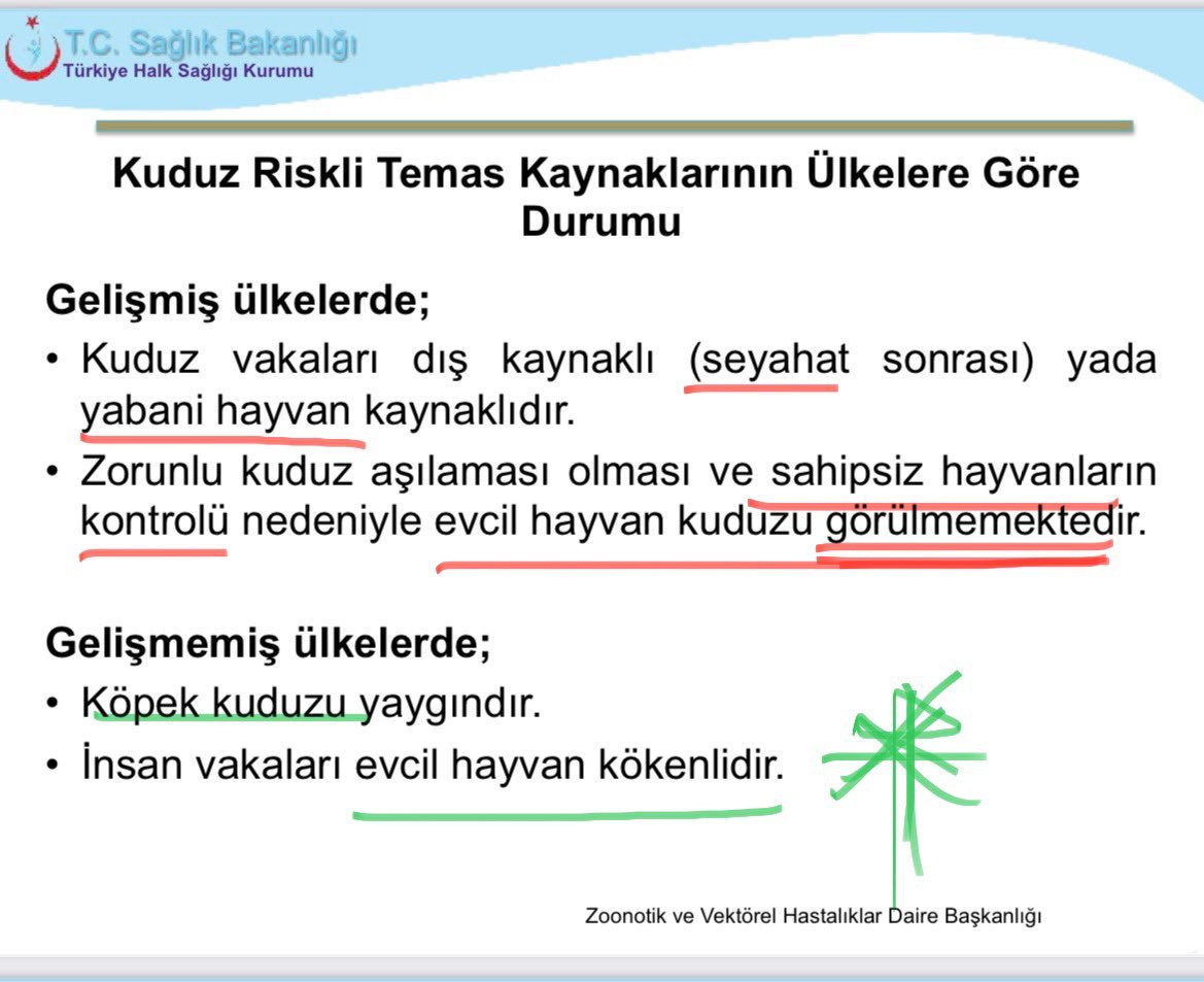 📌Gelişmiş ülkelerde başıboş hayvan olmadığından kuduz, sadece yarasa, tilki gibi yabani hayvanlardan doğrudan bulaşır. 

📍Türkiye gibi gelişmemiş ülkelerde ise kuduz %99 yaban hayvanları ile temas eden BAŞIBOŞ KÖPEKLERden bulaşır.

Türkiye gibi ülkelerde yaban hayatı için aşılı