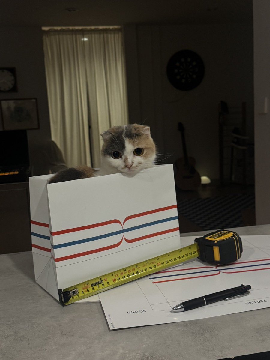 Chindanai Bhuwakul tweet media