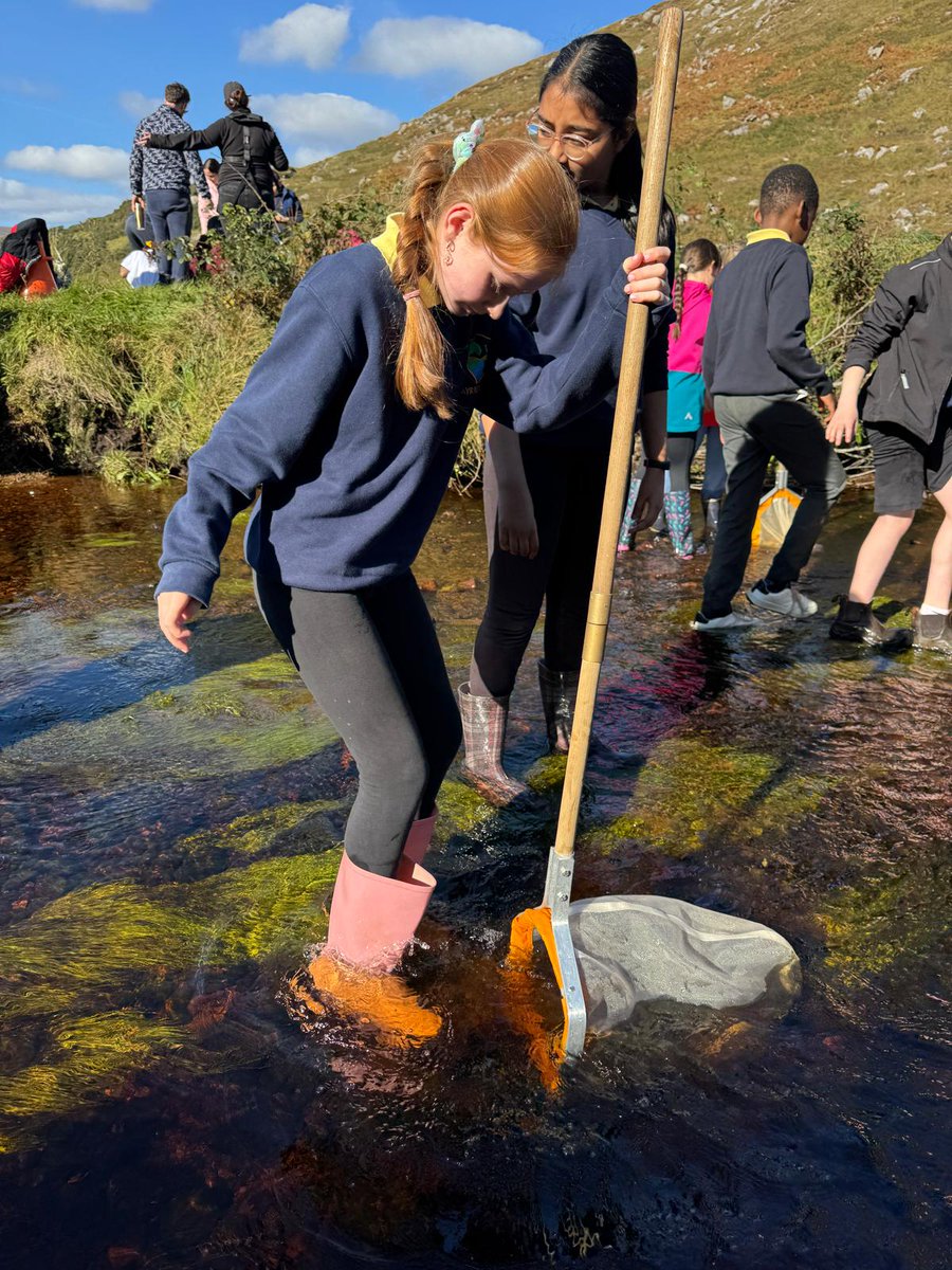 WatersProgramme's tweet image. The Blue Dot Education Programme continues in Donegal this weekend! 💚💛
1️⃣ Saturday 18th October, 2pm - Ramelton Nature Walk
Book your spot: bit.ly/3J6q0cx
2️⃣ Sunday 19th October, 2pm - Ardnamona Nature Reserve
Book your spot: bit.ly/3VZ7CFz
Get involved!