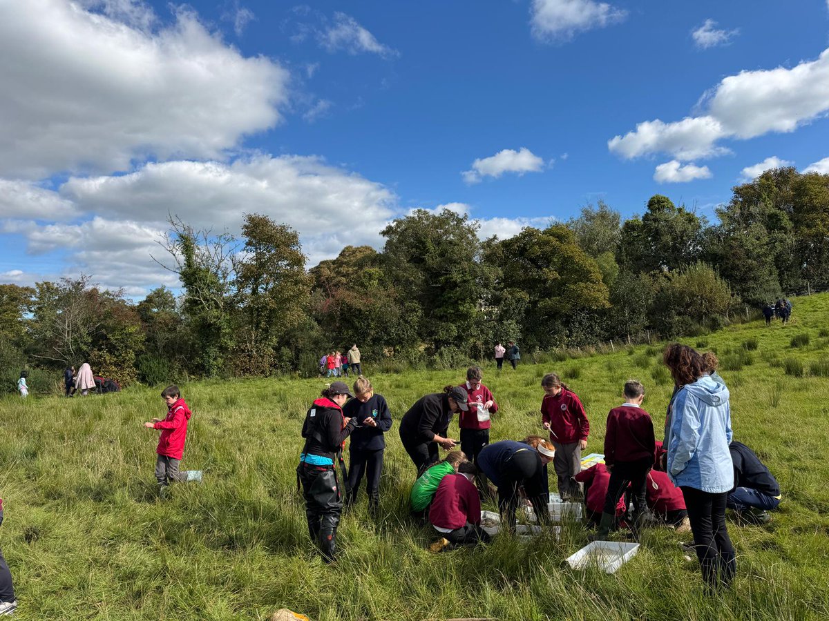 WatersProgramme's tweet image. The Blue Dot Education Programme continues in Donegal this weekend! 💚💛
1️⃣ Saturday 18th October, 2pm - Ramelton Nature Walk
Book your spot: bit.ly/3J6q0cx
2️⃣ Sunday 19th October, 2pm - Ardnamona Nature Reserve
Book your spot: bit.ly/3VZ7CFz
Get involved!