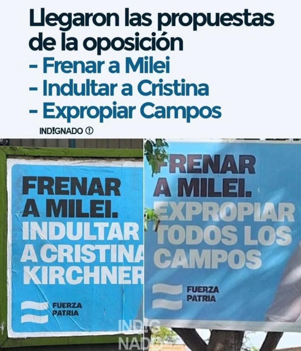 Milei hizo un montón de cosas mal pero al ver estas cosas