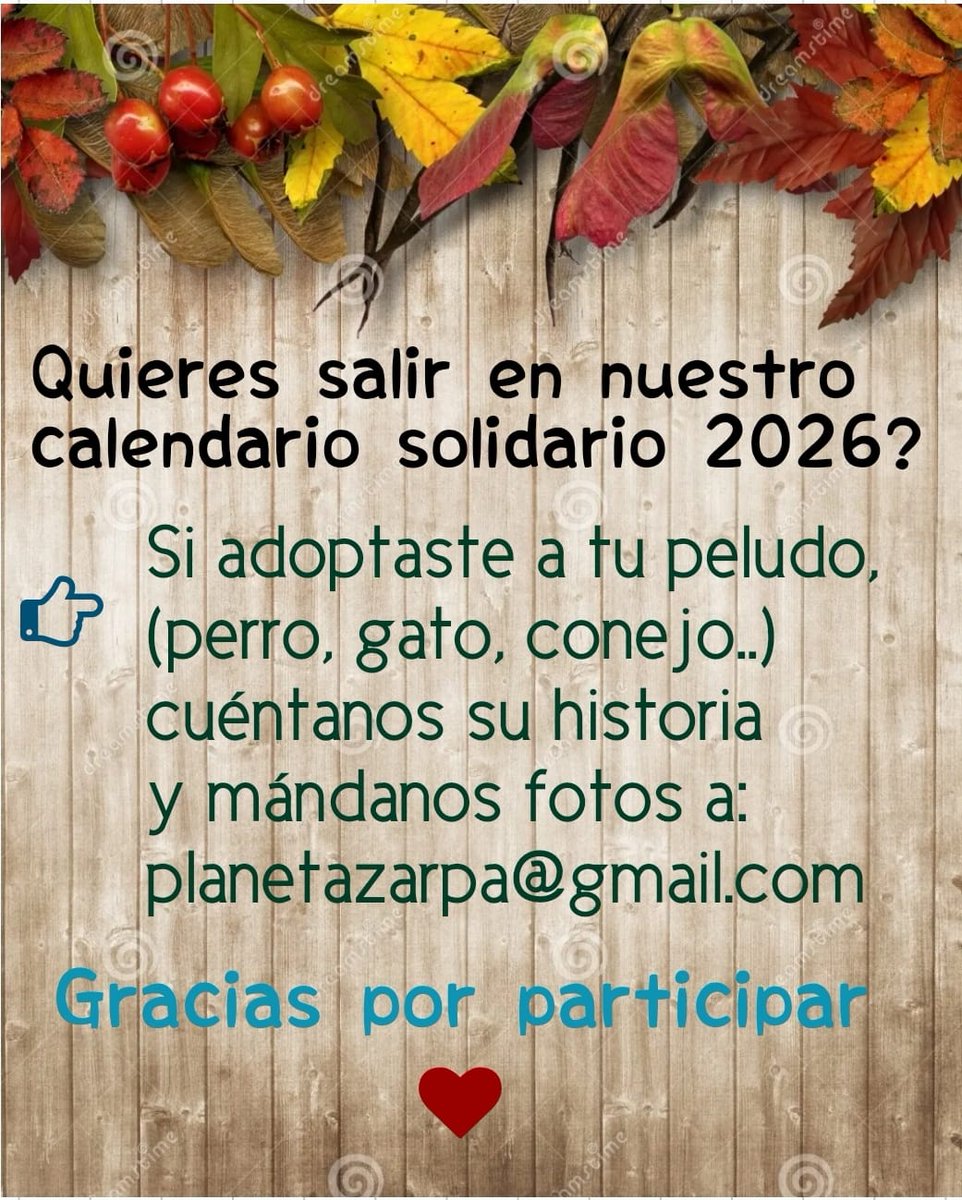 ¿Adoptaste un 🐶, 🐱 o 🐰 y cambió tu vida? 🥹💞
¡Queremos conocer vuestra historia! 📸✨

Estamos creando el Calendario Solidario 2026 y buscamos familias adoptantes de cualquier protectora 🐾

Participar es gratis y una forma preciosa de dar visibilidad a la adopción 💚
¿Te