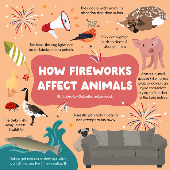 dilthi_gujarati's tweet image. 🐦 पक्षियों के दिल इंसानों से 3 गुना तेज़ धड़कते हैं, 200 dB की आवाज़ से वे हार्ट अटैक से मर जाते हैं।
@Greenpeace @narendramodi
#SayNoToCrackers #FirecrackerBan #CrueltyFreeDiwali