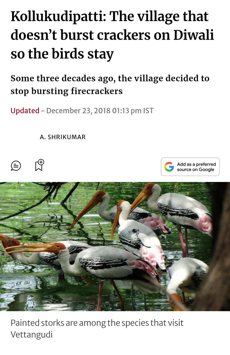 dilthi_gujarati's tweet image. 🐦 पक्षियों के दिल इंसानों से 3 गुना तेज़ धड़कते हैं, 200 dB की आवाज़ से वे हार्ट अटैक से मर जाते हैं।
@Greenpeace @narendramodi
#SayNoToCrackers #FirecrackerBan #CrueltyFreeDiwali