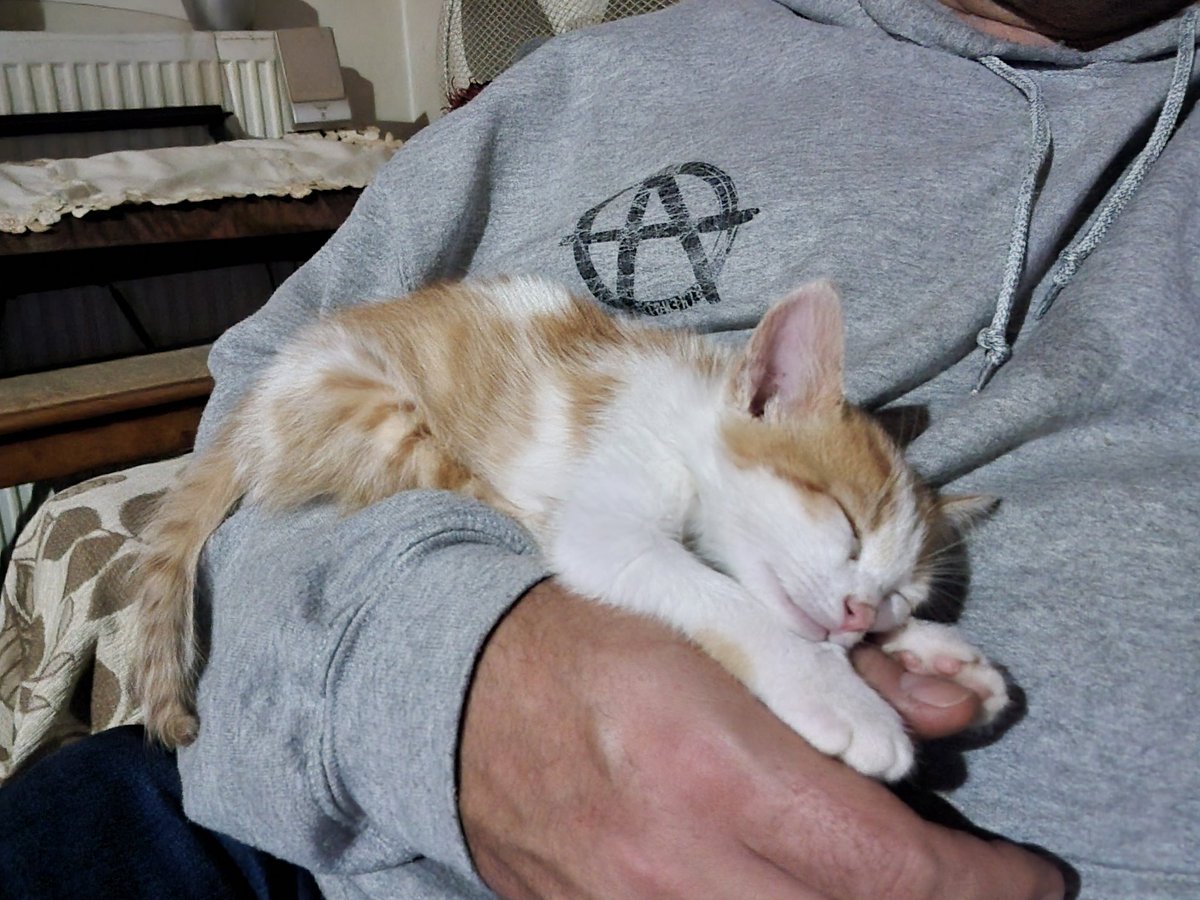 SalisburyWriter tweet media