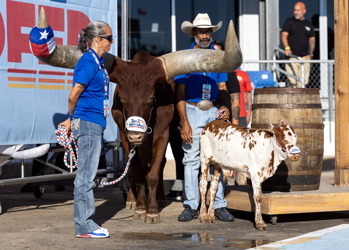TSRnitro's tweet image. Hats off to @txmplex for always putting on a great event at the #FallNats. 🤠

#TSRnitro | #NHRA | #Dodge | @MattHagan_FC | @LeahPruett_TF | @TonyStewart | @jhgdriven | @Mobil1 | @mobil1racing