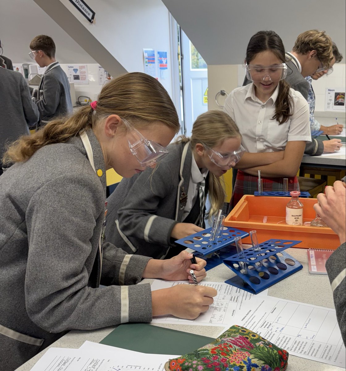 DurlstonSTEM's tweet photo. Experiment time for #DurlstonYr8 as they commence a new Chemistry topic on Reactivity! They investigated how we can observe the signs of a chemical reaction - which are a colour change, temperature change, or effervescence (aka bubbles)! 🧪🫧🌡️ #DurlstonScience https://t.co/5PaABgwOpV