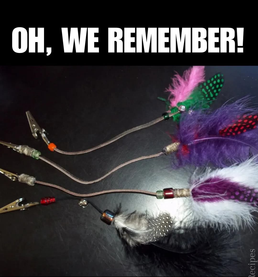 Who remembers what this is?