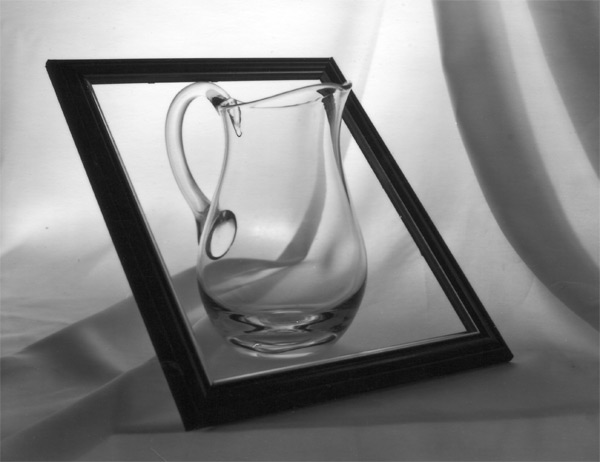 4×5 contact print
mfputortiphotography.com
#roc
#blackandwhite 
#filmphotography