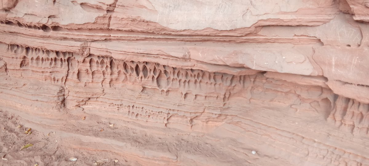 COLLIGNON ALAIN (@alano54colli) on Twitter photo 