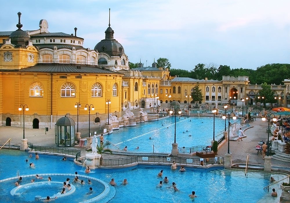 Miles | Nomados tweet media