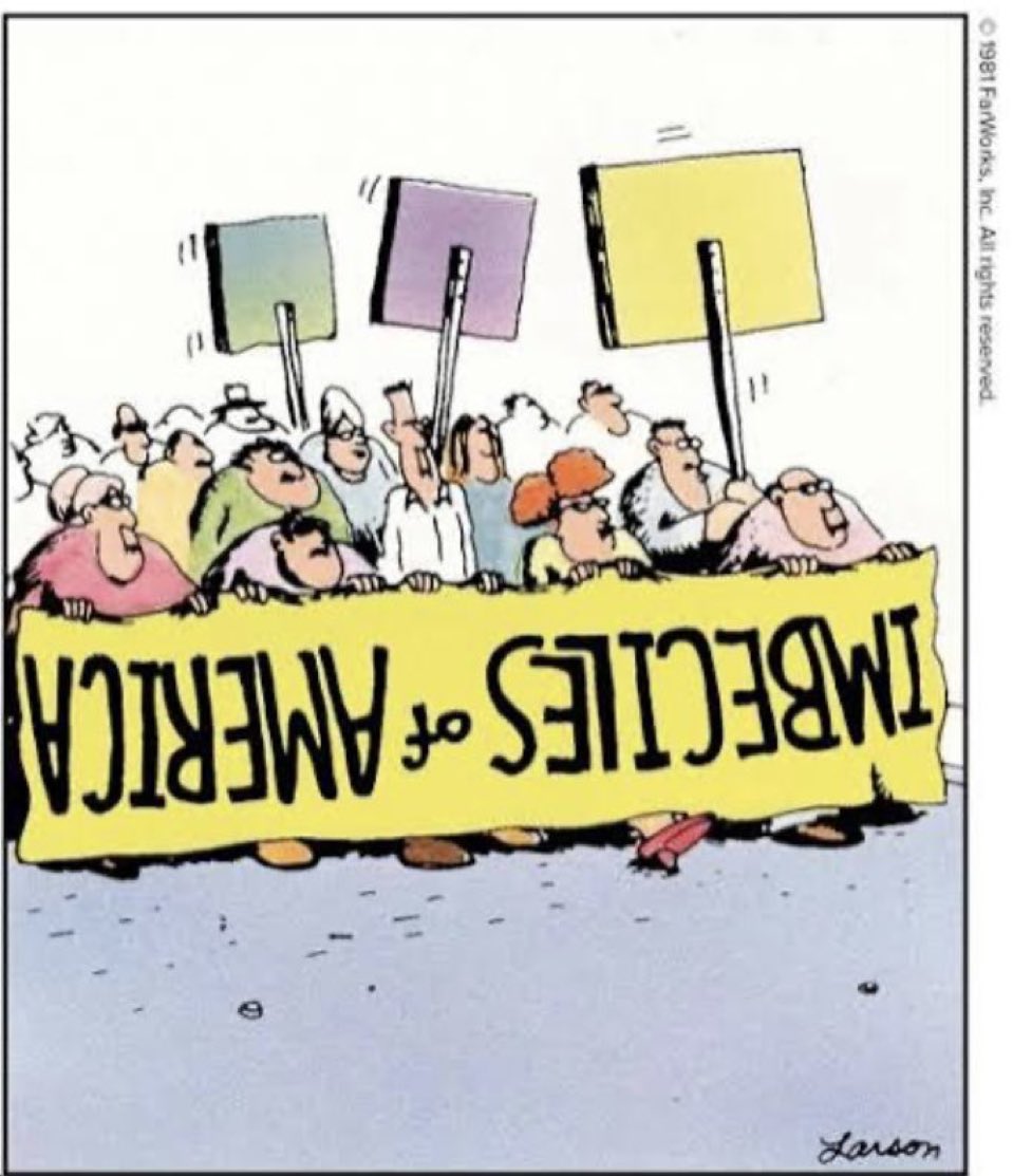 alt=