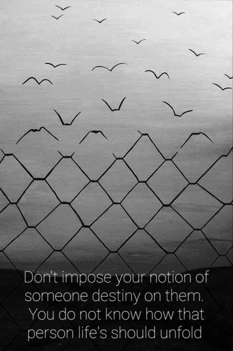 redname17's tweet image. 