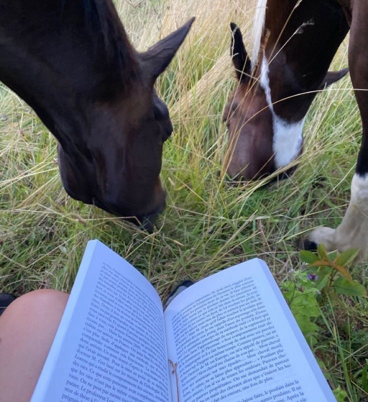 chloe walsh necesita darle un caballo