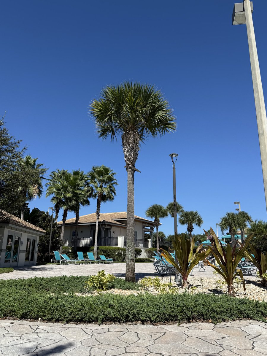 Last day of Florida 😌 🏝️