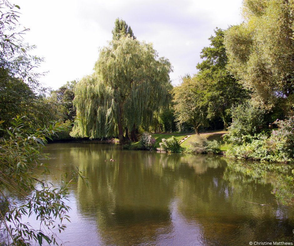 Look out for our Director, Shaun Leonard, at the ColneCAN Conference next week! His talk will explain how we're helping to develop methods for managing the impact of beavers on migratory fish 🐟

Join us in Rickmansworth on 21 October: colnecan.org.uk/index.php/all-…