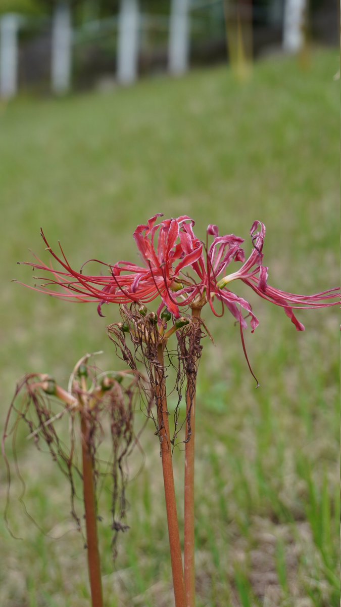 WTF? It's Ed tweet media