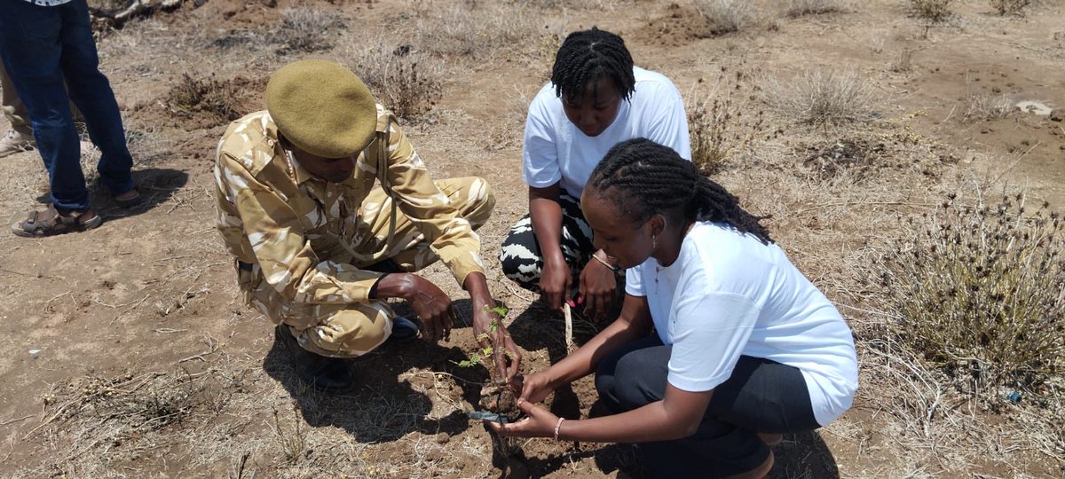 tanawetrust's tweet photo. On Friday we joined @NemaKenya in commemorating this year’s Mazingira Day
We managed to plant fruit-based and #indigenousseedlings.
We believe that such initiatives help in #environmentalrestoration and promote #foodsecurity especially in #ASAL areas. 
@WetlandsIntEA @WWF_Kenya https://t.co/mC62o6JcFw