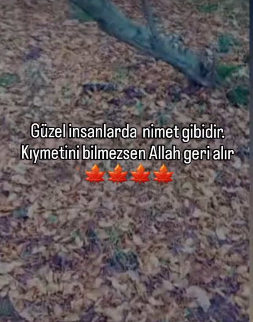 İyi akşamlar 🌇