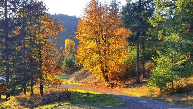 Discover Banks, Oregon 🍁 a peaceful small town perfectly nestled between Portland’s urban energy and the Oregon Coast’s natural beauty. Enjoy scenic trails, friendly neighborhoods, and easy access to both city life and coastal adventures.
pdxgary.com