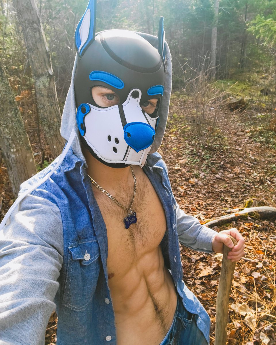 Falling leaves in Canada