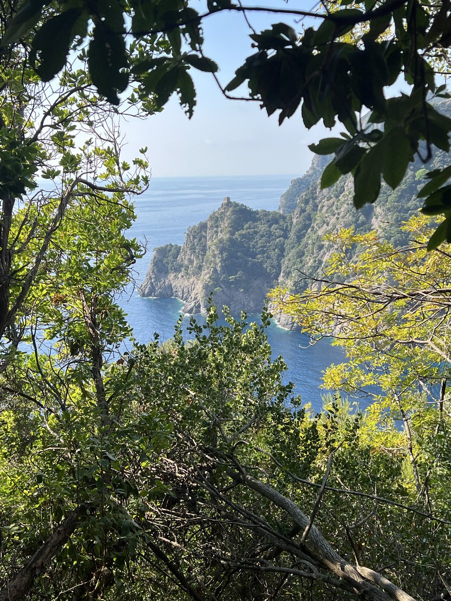 Jour 2 sur la #viaAurelia, parti de Camogli par des sentiers raides et panoramiques. Le point fort fut l’arrêt à Saint-Fructueux, sanctuaire niché dans un cadre merveilleux.