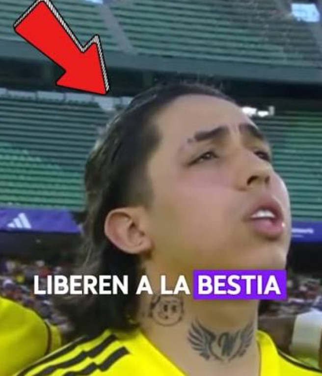 Matiiiz3 tweet media