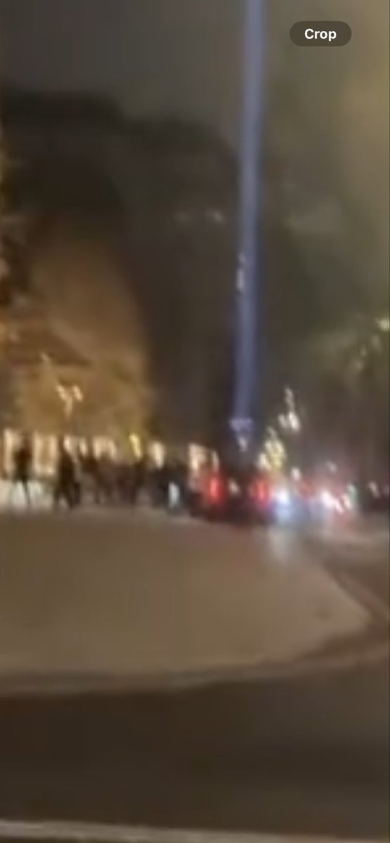 Silver Darter tweet media